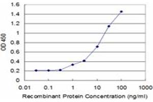 Detection limit for recombinant GST tagged DCK is approximately 1ng/ml as a capture antibody. (DCK antibody  (AA 161-260))