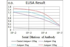ELISA image for anti-Maternal Embryonic Leucine Zipper Kinase (MELK) (AA 637-651) antibody (ABIN1844288)