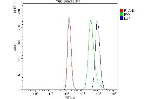 Flow Cytometry analysis of Raji cells using anti-IL37 antibody (ABIN7601794). (IL-37 antibody  (AA 46-218))