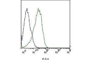 Mouse liver cells probed with Rabbit Anti- Scavenger receptor class B member 1 Polyclonal Antibody (ABIN738936) at 1:100 for 60 minutes followed by incubation with Goat Anti-Rabbit IgG PE conjugated secondary  at 1:100 (green) for 40 minutes compared to control cells (blue). (SCARB1 antibody  (AA 21-100))
