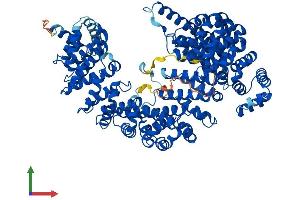 Protein Structure (PS) image for Transportin 1 (TNPO1) (AA 1-898) protein (His tag) (ABIN7564325)