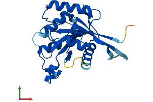 AlphaFold protein structure predicition of Mouse Recombinant Gimd1 Protein, UniprotID E9PW74 (GIMD1 Protein (AA 1-217) (His tag))
