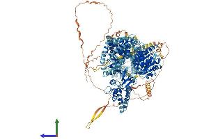 AlphaFold protein structure predicition of Human Recombinant DHX29 Protein, UniprotID Q7Z478 (DHX29 Protein (AA 1-1369) (His tag))