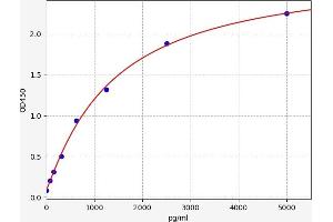 PGAM2 ELISA Kit