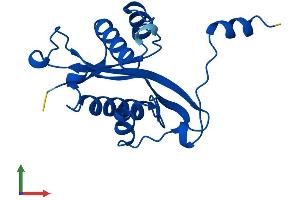 AlphaFold protein structure predicition of Mouse Recombinant Sat1 Protein, UniprotID P48026 (SAT1 Protein (AA 1-171) (His tag))