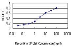 Detection limit for recombinant GST tagged NODAL is approximately 0. (Nodal antibody  (AA 275-346))
