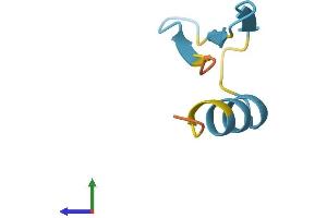 AlphaFold protein structure predicition of Human Recombinant KTN1-AS1 Protein, UniprotID Q86SY8 (KTN1-AS1 Protein (AA 1-53) (Fc Tag))