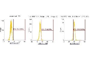 Flow Cytometry (FACS) image for anti-Casein Kinase 1, alpha 1 (CSNK1A1) (AA 1-337) antibody (PE) (ABIN5565054) (CSNK1A1 antibody  (AA 1-337) (PE))