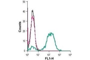 Cell surface detection of IGF1R in live intact human THP-1 monocytic leukemia cells: (black line) Cells. (IGF1R antibody  (Extracellular, N-Term))