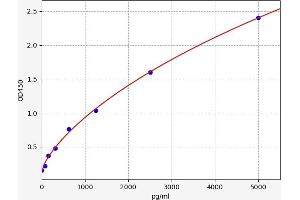 TGFBR2 ELISA Kit