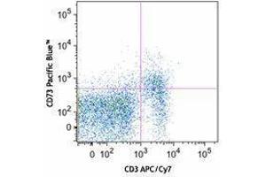 Flow Cytometry (FACS) image for anti-5'-Nucleotidase, Ecto (CD73) (NT5E) antibody (Pacific Blue) (ABIN2662306) (CD73 antibody  (Pacific Blue))