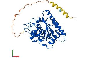 AlphaFold protein structure predicition of Mouse Recombinant B3galt1 Protein, UniprotID O54904 (B3GALT1 Protein (AA 1-326) (His tag))