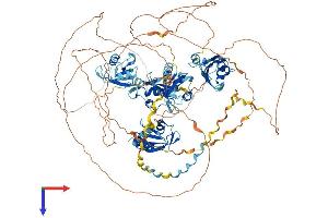 AlphaFold protein structure predicition of Mouse Recombinant Rbm12 Protein, UniprotID Q8R4X3 (RBM12 Protein (AA 1-992) (His tag))