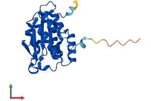 AlphaFold protein structure predicition of Mouse Recombinant Isoc2b Protein, UniprotID Q9DCC7