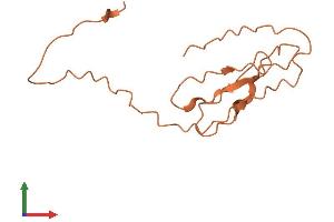 AlphaFold protein structure predicition of Human Recombinant KRTAP2-4 Protein, UniprotID Q9BYR9 (KRTAP2-4 Protein (AA 1-128) (His tag))