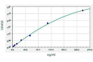 ELISA image for SARS-CoV-2 N-Protein IgG Antibody ELISA Kit (ABIN6952772)