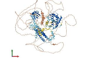 AlphaFold protein structure predicition of Mouse Recombinant Bag6 Protein, UniprotID Q9Z1R2 (BAT3 Protein (AA 1-1154) (His tag))