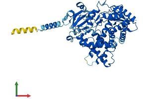 AlphaFold protein structure predicition of Mouse Recombinant Cyp2j6 Protein, UniprotID O54750 (Cyp2j6 Protein (AA 1-501) (His tag))