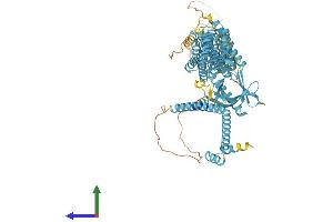 Protein Structure (PS) image for Exocyst Complex Component 8 (EXO84) (AA 1-716) protein (His tag) (ABIN7558078)