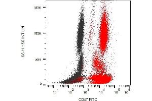 Surface staining of human peripheral blood with anti-CD47 (MEM-122) FITC.