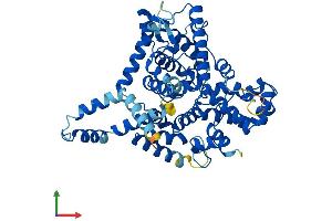 Protein Structure (PS) image for TBC1 Domain Family, Member 19 (TBC1D19) (AA 1-526) protein (His tag) (ABIN7544141)