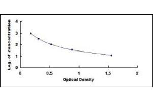 Typical standard curve (Endothelin 2 ELISA Kit)