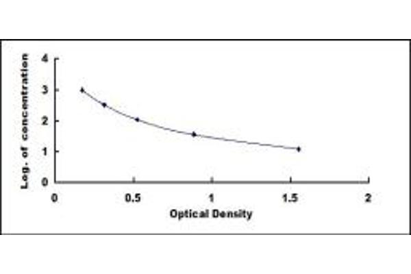 Endothelin 2 ELISA Kit