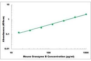 Representative Standard Curve (GZMB ELISA Kit)