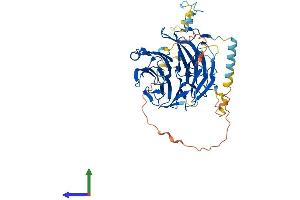 Protein Structure (PS) image for PWP1 Homolog (PWP1) (AA 1-501) protein (His tag) (ABIN7560378)