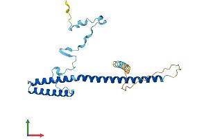 Protein Structure (PS) image for Mediator Complex Subunit 7 (MED7) (AA 1-233) protein (His tag) (ABIN7549380)