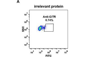 Expi 293 cell line transfected with irrelevant protein  (A) and human GITR  (B) were surface stained with Rabbit anti-GITR monoclonal antibody 1 μg/mL  (clone: DM78) followed by Alexa 488-conjugated anti-rabbit IgG secondary antibody. (TNFRSF18 antibody  (AA 266-162))