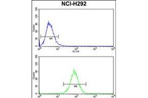 Flow cytometry analysis of NCI-H292 cells (bottom histogram) compared to a negative control cell (top histogram). (Dynamin 3 antibody  (AA 557-584))