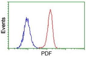 Image no. 2 for anti-Growth Differentiation Factor 15 (GDF15) antibody (ABIN1500099) (GDF15 antibody)
