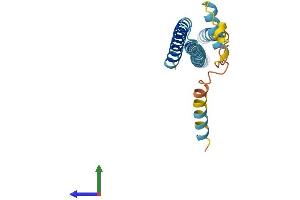 Protein Structure (PS) image for Charged Multivesicular Body Protein 1A (CHMP1A) (AA 1-196) protein (His tag) (ABIN7564852)