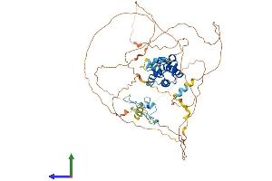 AlphaFold protein structure predicition of Human Recombinant MSL2 Protein, UniprotID Q9HCI7