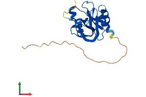 Protein Structure (PS) image for Nudix (Nucleoside Diphosphate Linked Moiety X)-Type Motif 4 (NUDT4) (AA 1-180) protein (His tag) (ABIN7550036)
