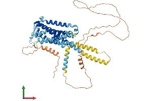 AlphaFold protein structure predicition of Mouse Recombinant Ptger4 Protein, UniprotID P32240