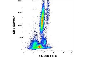 Flow cytometry surface staining pattern of human peripheral whole blood stained using anti-human CD200 (OX-104) FITC antibody (4 μL reagent / 100 μL of peripheral whole blood). (CD200 antibody  (FITC))