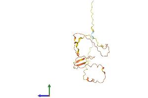 AlphaFold protein structure predicition of Human Recombinant FOXL2NB Protein, UniprotID Q6ZUU3 (FOXL2NB Protein (AA 1-175) (His tag))
