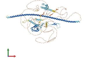 AlphaFold protein structure predicition of Human Recombinant PPP1R9A Protein, UniprotID Q9ULJ8 (PPP1R9A Protein (AA 1-1098) (His tag))
