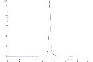 The purity of Mouse E-selectin is greater than 95 % as determined by SEC-HPLC. (Selectin E/CD62e Protein (AA 22-557) (His tag))