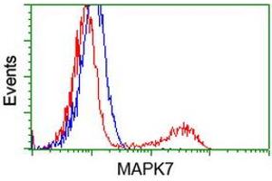 Flow Cytometry (FACS) image for anti-Mitogen-Activated Protein Kinase 12 (MAPK12) antibody (ABIN1499304) (MAPK12 antibody)