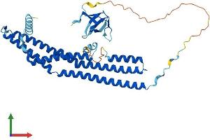 Protein Structure (PS) image for SH3-Domain GRB2-Like 1 (SH3GL1) (AA 1-368) protein (His tag) (ABIN7546051)