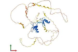 Protein Structure (PS) image for GATA Binding Protein 3 (GATA3) (AA 1-443) protein (His tag) (ABIN7562984)