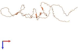 Keratin Associated Protein 26-1 (KRTAP26-1) (AA 1-215) protein (His tag)