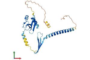 Protein Structure (PS) image for Cell Death-Inducing DFFA-Like Effector C (CIDEC) (AA 1-239) protein (His tag) (ABIN7563455)