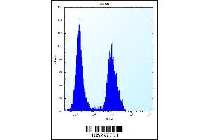 Flow cytometric analysis of Jurkat cells (right histogram) compared to a negative control cell (left histogram).