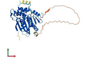 AlphaFold protein structure predicition of Mouse Recombinant Ndrg4 Protein, UniprotID Q8BTG7 (NDRG4 Protein (AA 1-352) (His tag))
