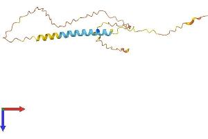 AlphaFold protein structure predicition of Human Recombinant GSN-AS1 Protein, UniprotID Q9NRJ2 (GSN-AS1 Protein (AA 1-163) (His tag))