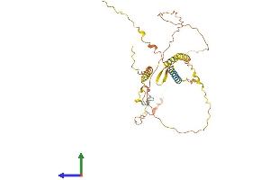 AlphaFold protein structure predicition of Human Recombinant C5orf60 Protein, UniprotID A6NFR6 (C5ORF60 Protein (AA 1-353) (His tag))